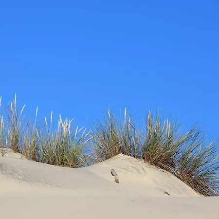 Maison Soleil - Dune Blanche